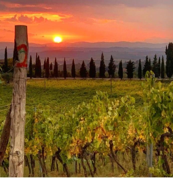 House With A View In Tuscany San Gusme Eksteriør billede