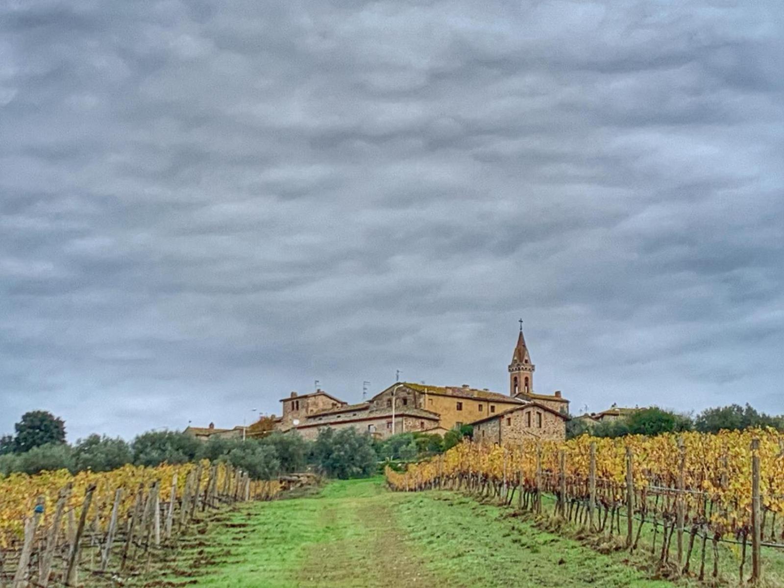 House With A View In Tuscany San Gusme Eksteriør billede