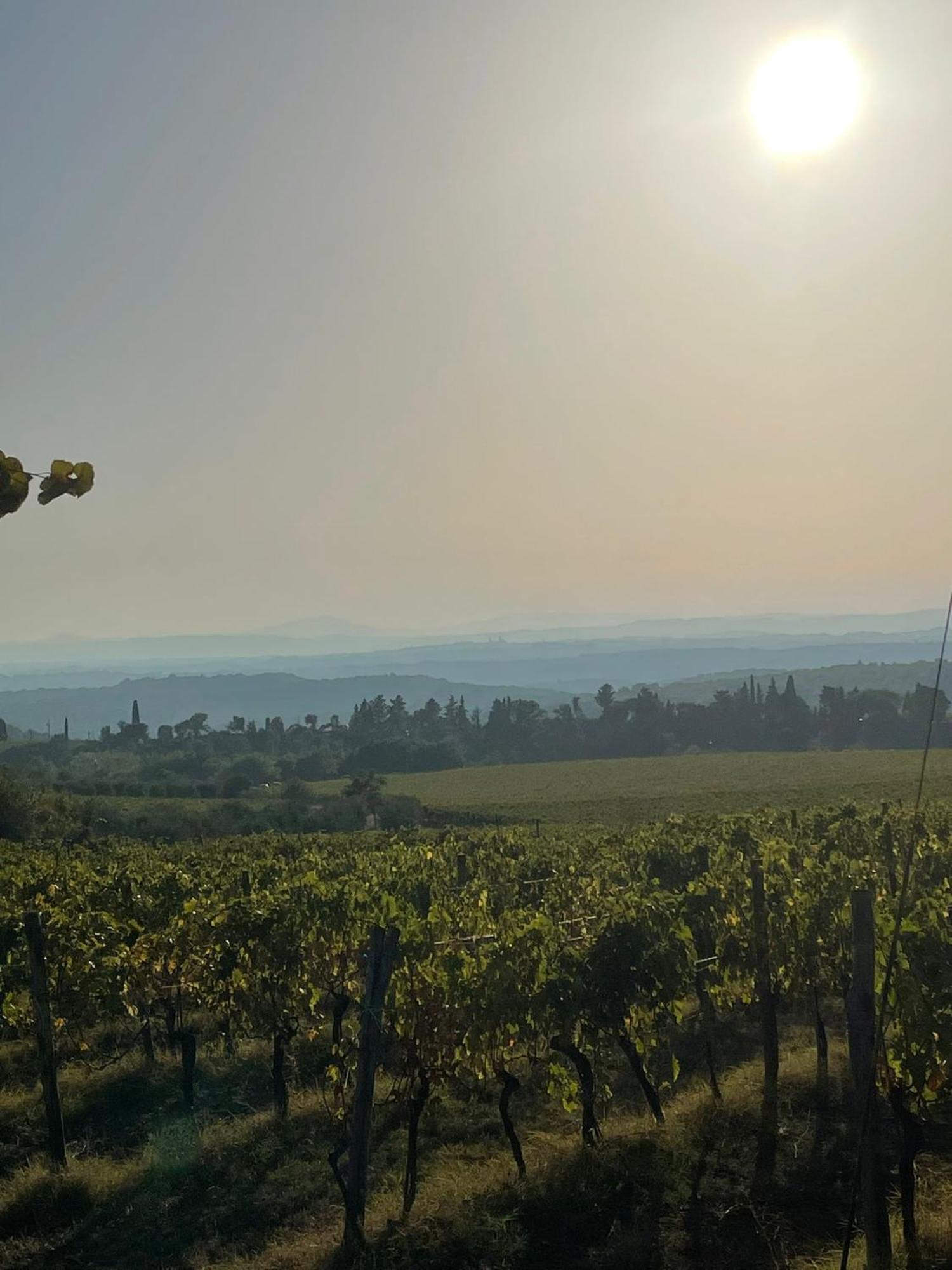 House With A View In Tuscany San Gusme Eksteriør billede