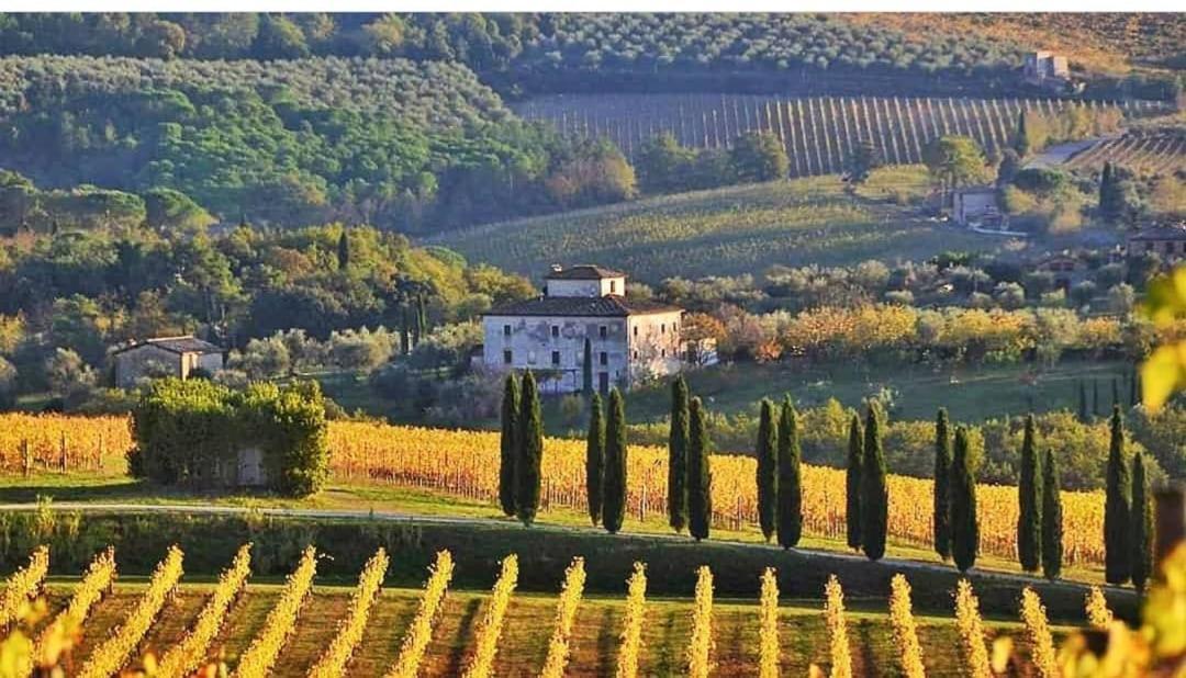 House With A View In Tuscany San Gusme Eksteriør billede