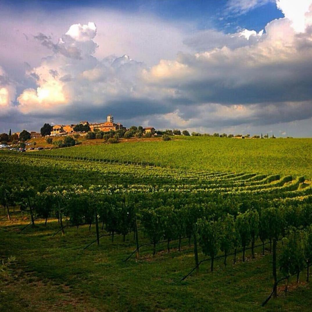 House With A View In Tuscany San Gusme Eksteriør billede